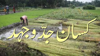 Farmer`s Protest.