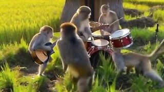 Viral monyet d latih Band