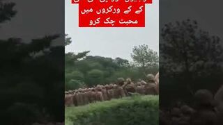 فوج اور پی ٹی آئی آمنے سامنے
