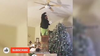 Try not to laugh (impossible) Best funny Videos compilation #9