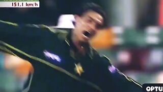 Don cricket