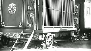 Charlie Chaplin vs lion fight