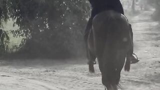 Horse Lover Peotet