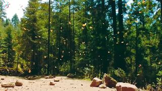 Imagine if you see this nature ????????