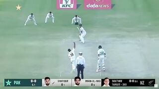 W-WPakistan in Deep Trouble|Pakistan vs New Zealand|2nd Test Day 4 PCB