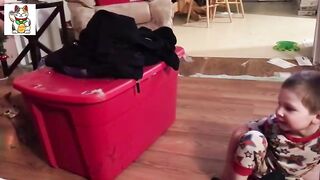 CUTE FUNNY CAT