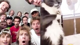Tom feels scared  ????
