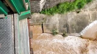 Train Pakistan Railway #Train #ShortVideo #Shorts #MyShort