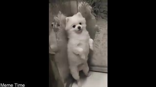 I bet you can't hold your breathe laughing at this !