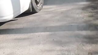 Surxondaryo viloyati oltinsoy tuman zurrovon ypx xodimlari