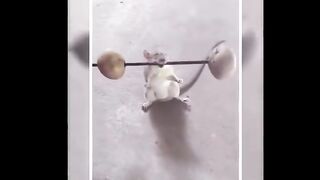 Funny  viral short