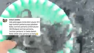 Penjelasan lengkap tentang bibit lele sortiran pertama❗Bibit lele berkualitas unggul