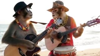 Gempar di pantai ada monyet bisa main alat ini