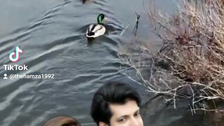 Hamza Arts love songs 69