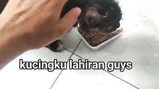 Download Zahra viral 6 menit 40 detik Twitter Dharmasraya viral 5 menit