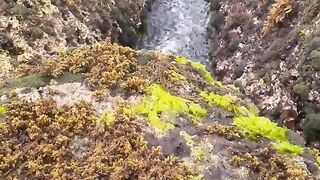 The earth's inhalation and exhalation