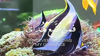 Quran al Karim ayat..It is a  video. You see and give a chance to see everyone. Like , follow, shere this video
