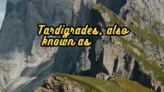 Animal Facts        Tardigrade Survival          #shorts