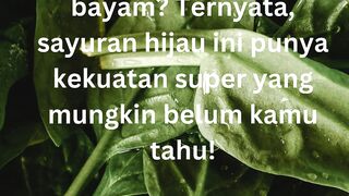 What do you know about spinach ? - in Indonesian language