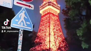 Wonderful japan