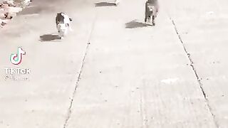 hhhhhhhhhhhhhhhh 10