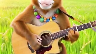 Viral Monyet main gitar di atas ladang