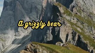 Animal Facts         Grizzly Bear Bite         #shorts