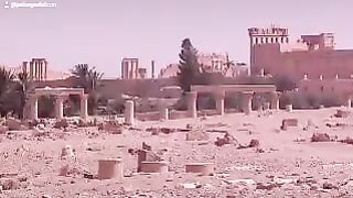 Palmyra 49