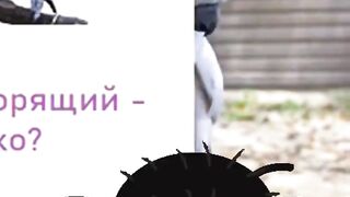 Говорящий попугай