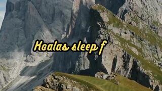 Animal Facts         Koala Sleep Habits         #shorts