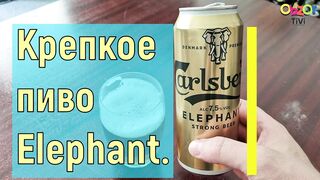 Обзор на пиво Elephant.