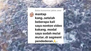 Perputaran modal usaha lele yang paling cepat itu segmen pendederan