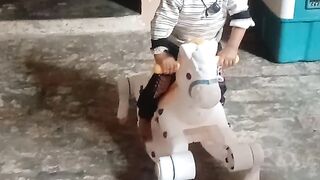 گھوڑے کی سواری 2