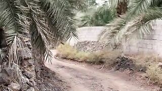 مدینہ پاک کی پاک گلیاں