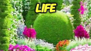 Beautiful quotes 5