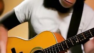 Monyet pintar main gitar Akustik sedang Viral