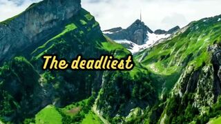 Animal Facts        Deadliest Animal          #shorts