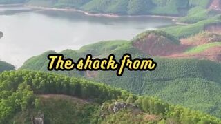 Animal Facts        Electric Eel Shock          #shorts