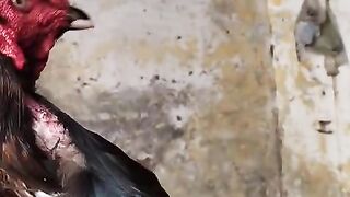 Anger the wrath