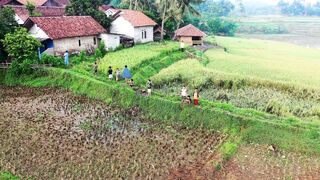 the beauty of rural nature