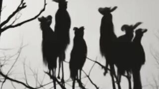Terjebak Kenangan song lirik