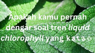 Liquid Chlorophyl