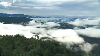 The Flightless Bird of New Caledonia _ South Pacific _ BBC Earth.