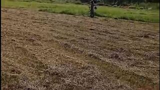 Hmc Warriors play ground