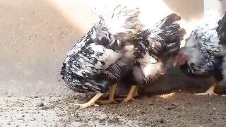 Just like little