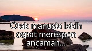 Otak manusia