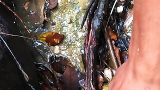 The discovery of a gold house located in a underground pit containing scary material