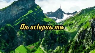 Animal Facts        Octopus Motherhood          #shorts