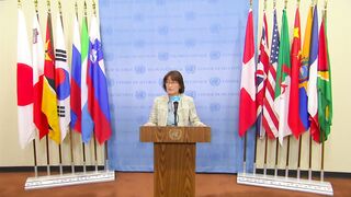UN Security Council voices 'strong concerns' after Lebanon peacekeepers hurt .