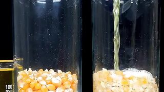 1000°C RHCB vs Corn, Oil, Red Bull ????????????